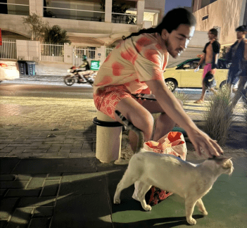 Letket Team member : Omar Habeh